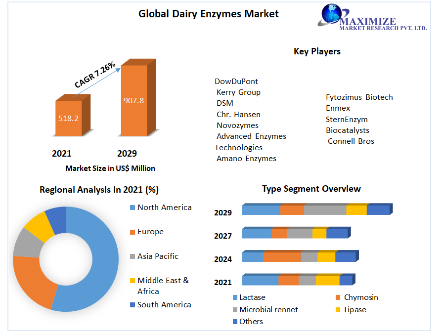 Dairy Enzymes Market - Global Industry Analysis and Forecast 2029