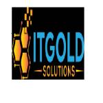 itgold solutions Profile Picture