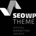 seo wp theme Profile Picture