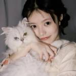 Charleslly Charleslly Profile Picture