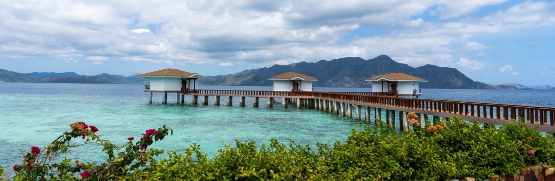 PSThis Rocks Cover Image