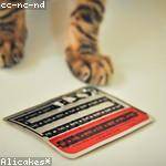 Bernie Kemmer Profile Picture