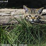 Marley Vandervort Profile Picture