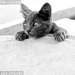 Jacques Marquardt Profile Picture