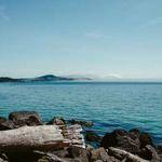 Lisandro Fadel Profile Picture