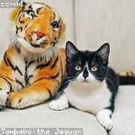 Eryn Bartell Profile Picture