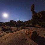 Tressie Rogahn Profile Picture