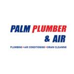 Palm Plumber and Air Profile Picture