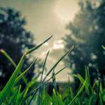 Aubree Morissette Profile Picture