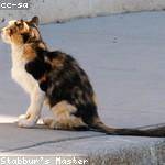 Lemuel Adams Profile Picture