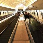 Keegan Little Profile Picture