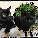 Amira Daugherty Profile Picture