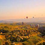 Rosina Hauck Profile Picture