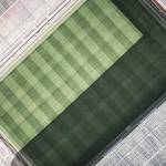 Leopold Hammes Profile Picture