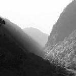 Lois Simonis Profile Picture