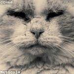 Winona Lesch Profile Picture