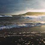 Ellis Cassin Profile Picture