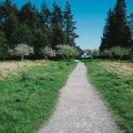 Lafayette Gleichner Profile Picture