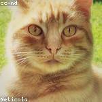 Ilene Dickinson Profile Picture