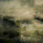 Anika Trantow Profile Picture