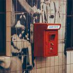 Colton Bins Profile Picture