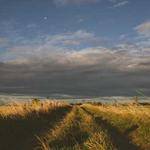 Pattie Huels Profile Picture