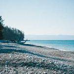 Tyson Dibbert Profile Picture