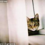 Annette Waelchi Profile Picture