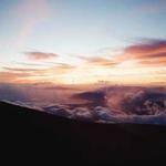 Juston Wolf Profile Picture