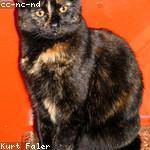 Bonita Johnston Profile Picture