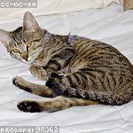 Milo Leuschke Profile Picture