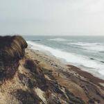 Nathanial Nader Profile Picture