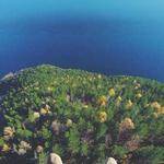 Newell Gerhold Profile Picture