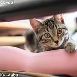 Natasha Grimes Profile Picture