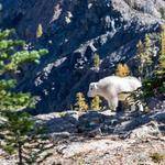 Gabrielle Schiller Profile Picture