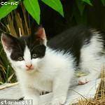 Zola Schowalter Profile Picture