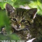 Maurine Friesen Profile Picture