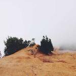 Tristian Marks Profile Picture