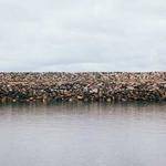 Turner Macejkovic Profile Picture