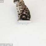 Yesenia Stoltenberg Profile Picture