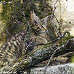 Agustina Kessler Profile Picture