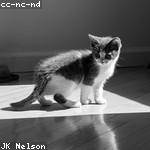 Alexandro Kohler Profile Picture