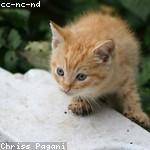 Zakary Wisoky Profile Picture