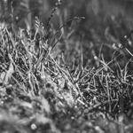 Adelle Reinger Profile Picture