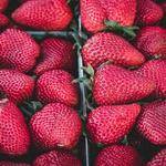 Ernie Glover Profile Picture