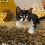 Verlie Hagenes Profile Picture