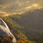 Walker Herzog Profile Picture