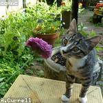 Autumn Purdy Profile Picture