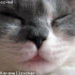 Mckenzie Haley Profile Picture