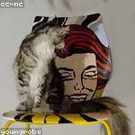 Rupert Windler Profile Picture